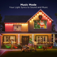 Roofline LED Light Strand 100ft with RGBICW Color Nodes and App Control