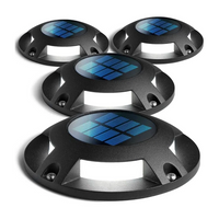 Outdoor Solar Pathway Light with Automatic Dusk Sensor and 80 Hour Runtime