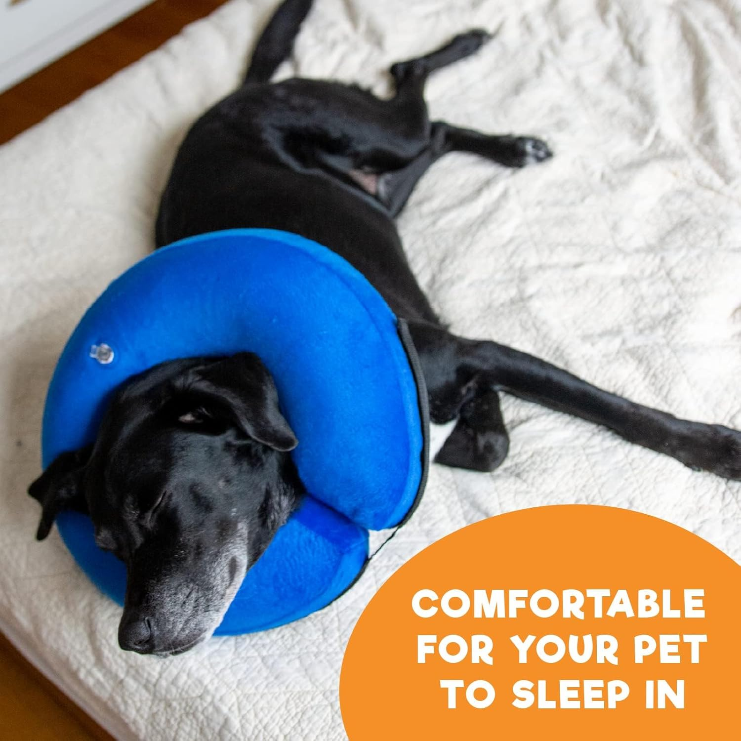 Inflatable Pet Recovery Collar with Adjustable Air Pressure and Inner Loop, Large