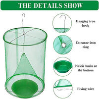 Fly Trap for Yards and Stables