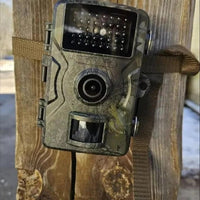 Outdoor Wildlife Camera with Infrared Night Recording