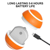 Interactive Pet Ball Toy with Motion Feature