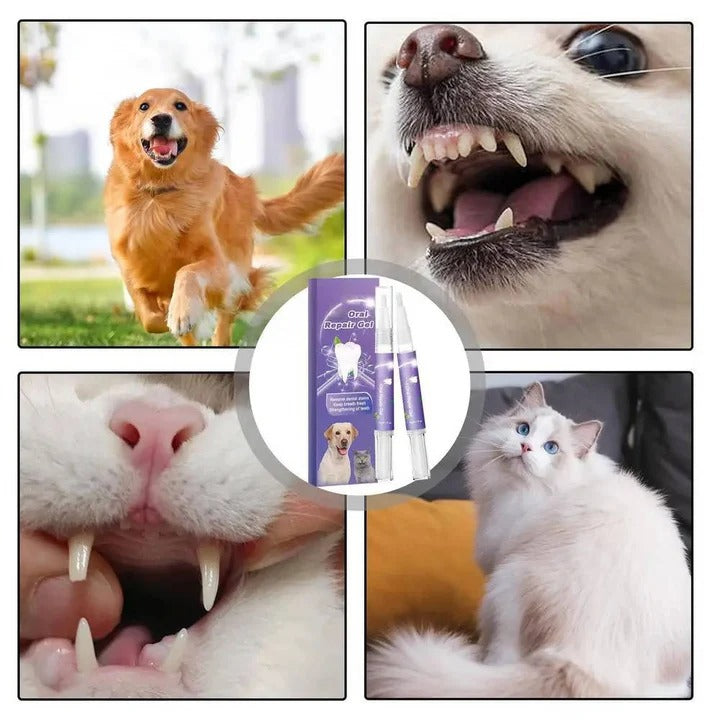 Dog Oral Gel for Teeth and Gum Care, Set of 3