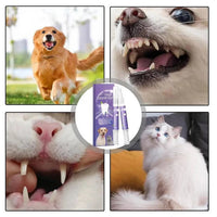 Dog Oral Gel for Teeth and Gum Care, Set of 3