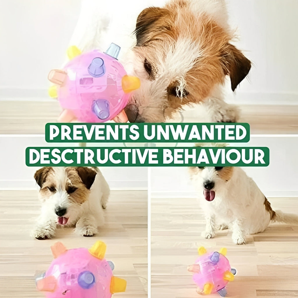 Rechargeable Dog Ball Toy with Jumping and Bouncing Action