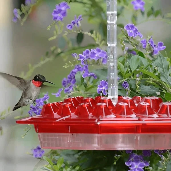 Hanging Hummingbird Feeder with Ant Moat Design