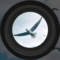 Handheld Binoculars for Darkness with Long Range
