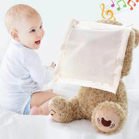 Peek A Boo Teddy Plush Toy for Baby Playtime