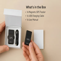 Mini Stealth Sentinel and Magnetic Object Guard