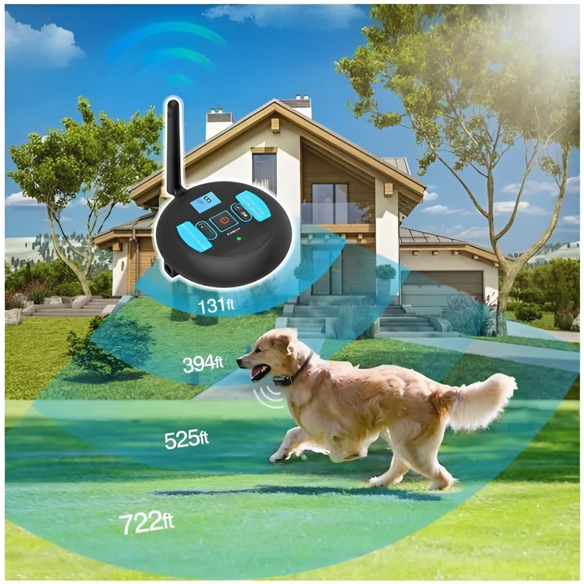 Double Zone Barrier and External Coaching for Pets