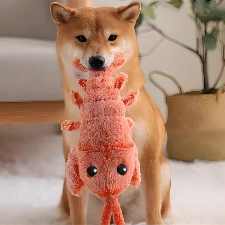 Interactive Floppy Lobster Toy for Dogs with Motion Activation