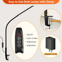 LED Clamp Desk Lamp with Flexible Gooseneck Arm