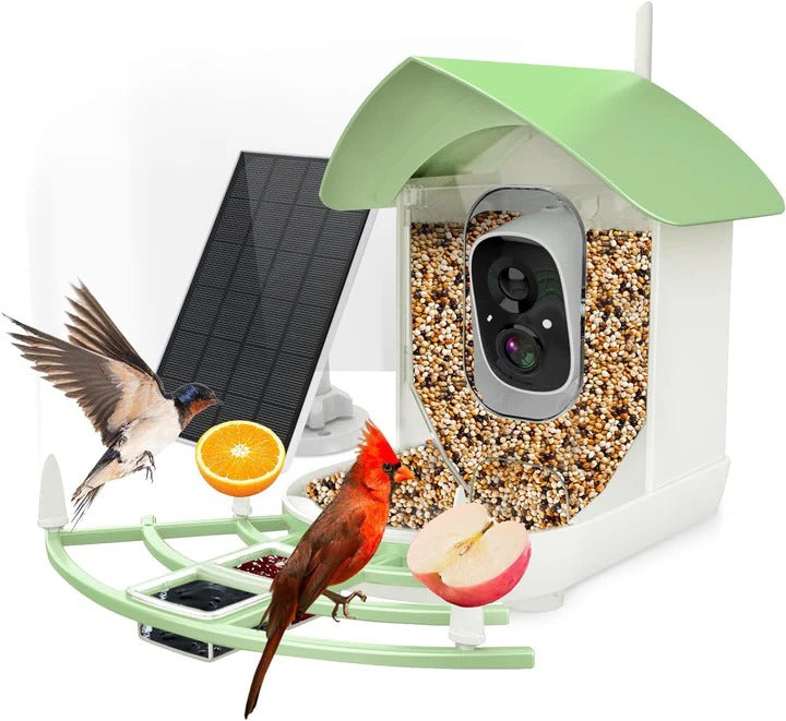 Solar Powered Bird Feeder with Built In Camera