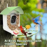Solar Powered Bird Feeder with Built In Camera