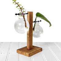 Hydroponic Glass Vase with Wooden Stand