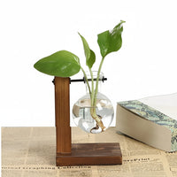 Hydroponic Glass Vase with Wooden Stand