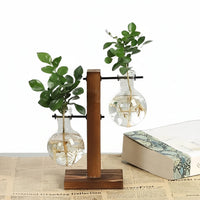 Hydroponic Glass Vase with Wooden Stand
