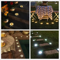 Solar Powered LED Garden Lights for Outdoor Pathways