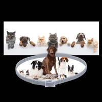 Flea and Tick Repellent Collar for Pets