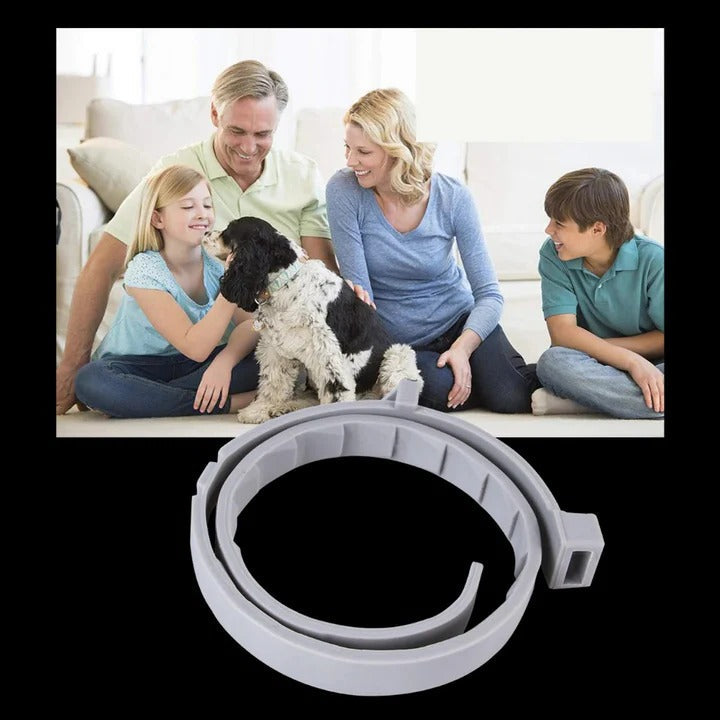 Flea and Tick Repellent Collar for Pets
