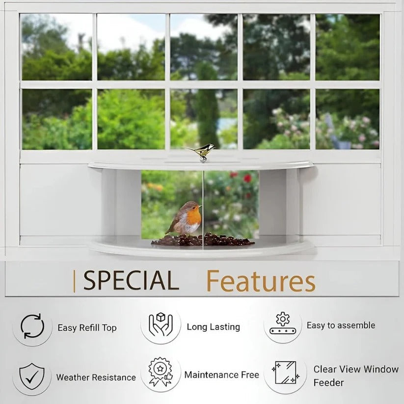 Clear Acrylic Window Mounted Bird Feeder with Suction Cup Attachment