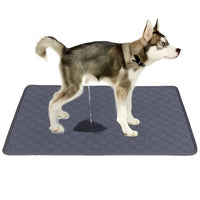 Disposable and Reusable Dog Training Pee Pads for Indoor Use