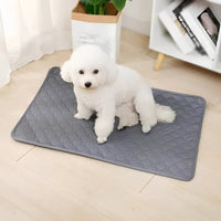 Disposable and Reusable Dog Training Pee Pads for Indoor Use