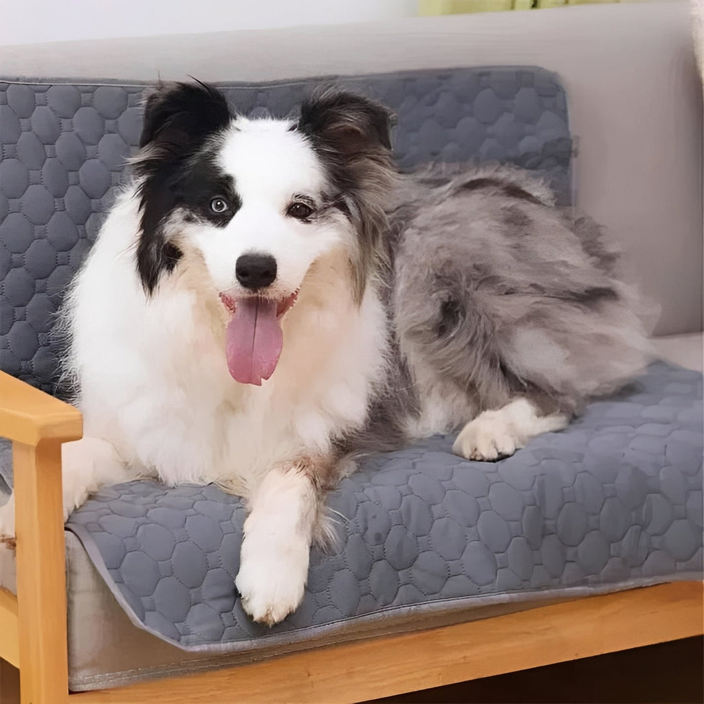 Disposable and Reusable Dog Training Pee Pads for Indoor Use