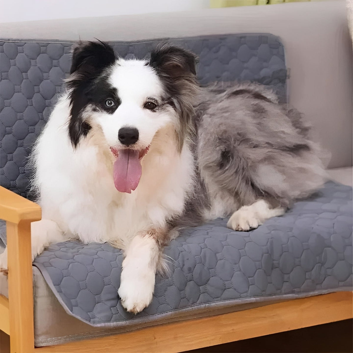 Disposable and Reusable Dog Training Pee Pads for Indoor Use