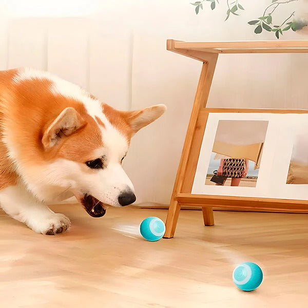 Rechargeable Automatic Rolling Interactive Ball Toy for Cats and Dogs