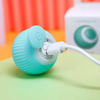 Rechargeable Automatic Rolling Interactive Ball Toy for Cats and Dogs