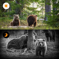 Wide Angle Hunting Camera with Enhanced Infrared Night Detection
