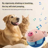 Self Moving Dog Ball with Built In Music and Vibration for Play Use