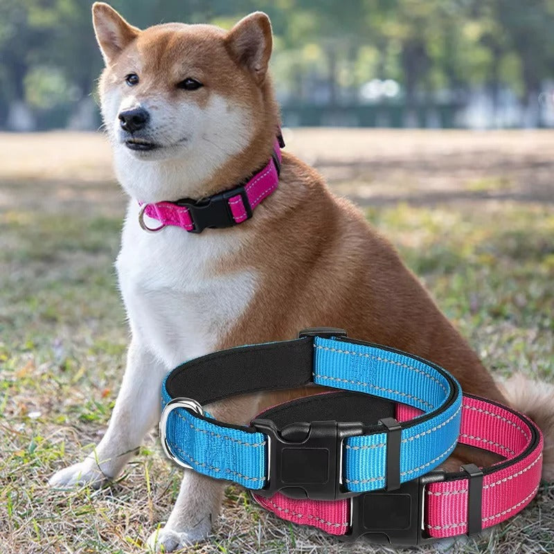 Retractable Walking Leash for Dogs of with Hiking Grip Handle