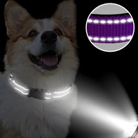 Retractable Walking Leash for Dogs of with Hiking Grip Handle