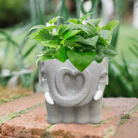 Small Cartoon Resin Planter for Indoor Desk Shelf and Windowsill Decor