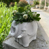 Small Cartoon Resin Planter for Indoor Desk Shelf and Windowsill Decor