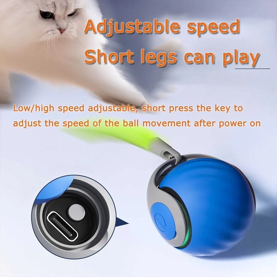 Motion Activated Cat Toys with Feather Tail, 2 Pack Bundle