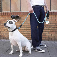 Padded Handle Dog Leash with Reflective Safety Strip
