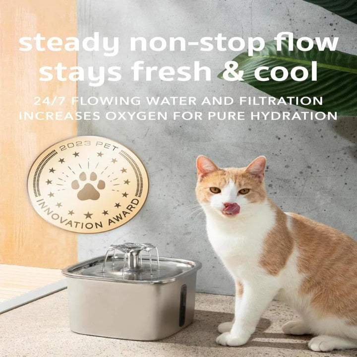 Stainless Steel Ca Drinking Fountain with Low Noise Pump