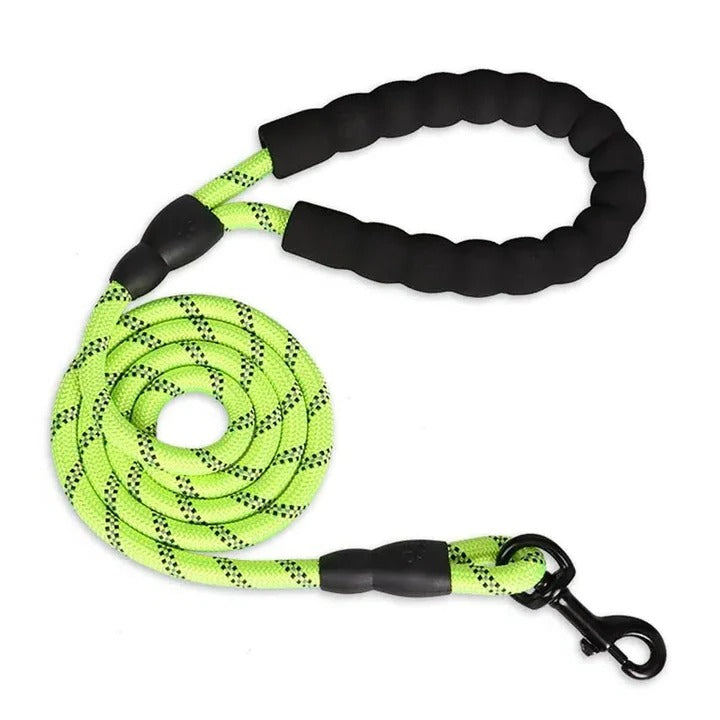 Padded Handle Dog Leash with Reflective Safety Strip