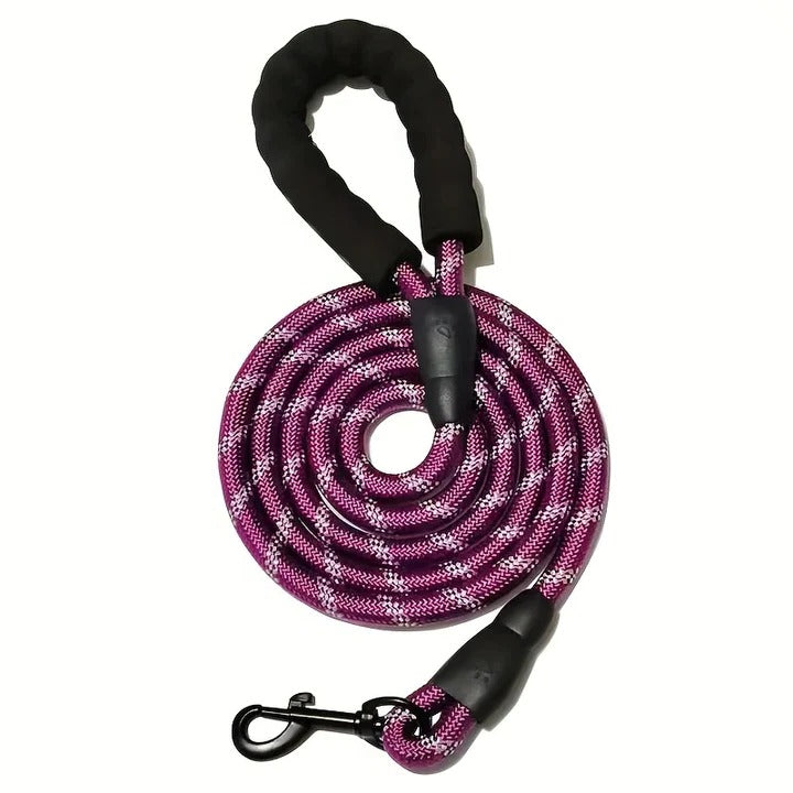 Padded Handle Dog Leash with Reflective Safety Strip