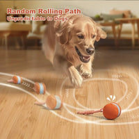 Motion Sensor Dog Ball with Rope Attachment, 2 Pack Bundle