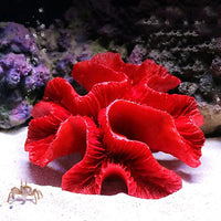 Coral Reef Aquarium Ornament with Resin Craft Design
