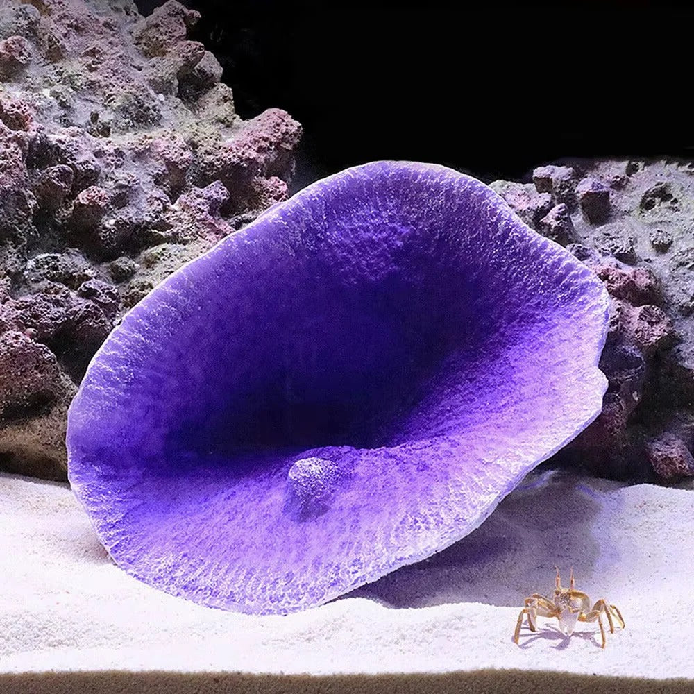 Coral Reef Aquarium Ornament with Resin Craft Design