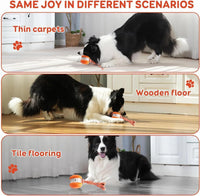 Motion Sensor Dog Ball with Rope Attachment, 2 Pack Bundle