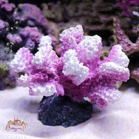 Coral Reef Aquarium Ornament with Resin Craft Design