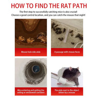 Reusable Rodent Capture Cage with Sliding Door and Iron Body Design