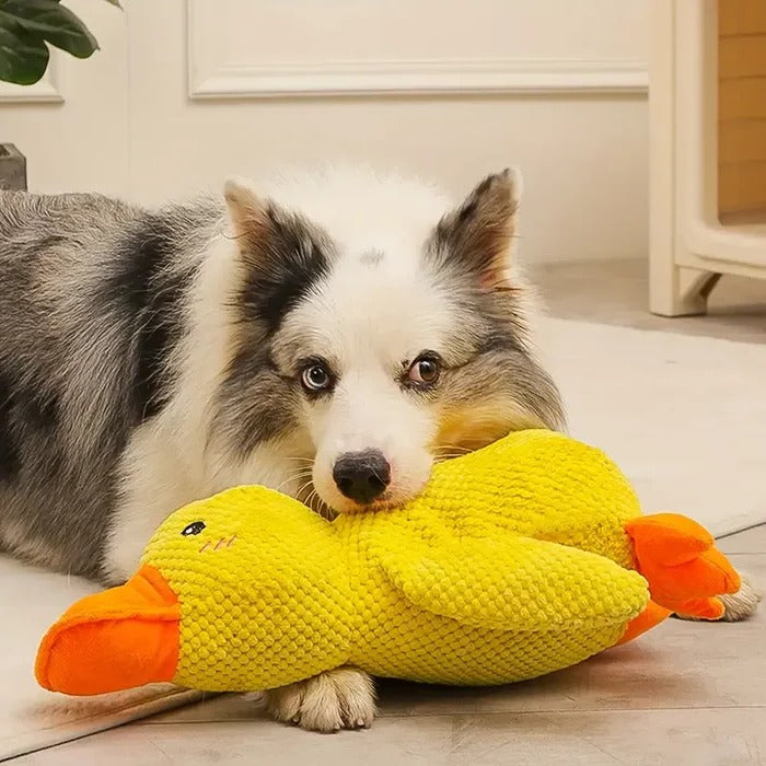Quiet Duck Ally and Gentle Doggy Toy