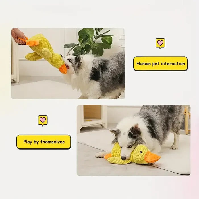 Quiet Duck Ally and Gentle Doggy Toy